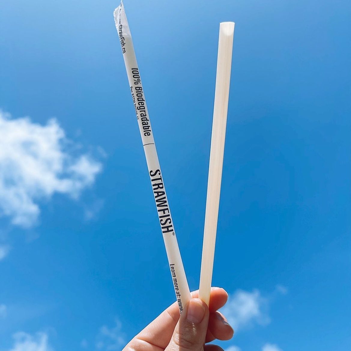 StrawFish Plastic-Free Shell Based Biodegradable Drinking Straws